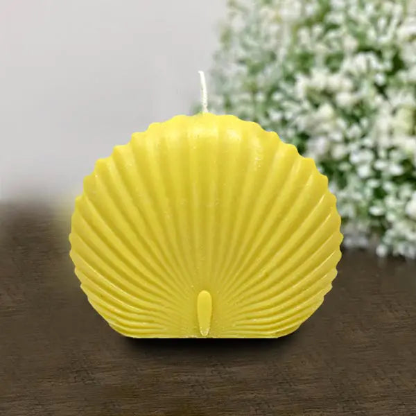 Seashell Candle